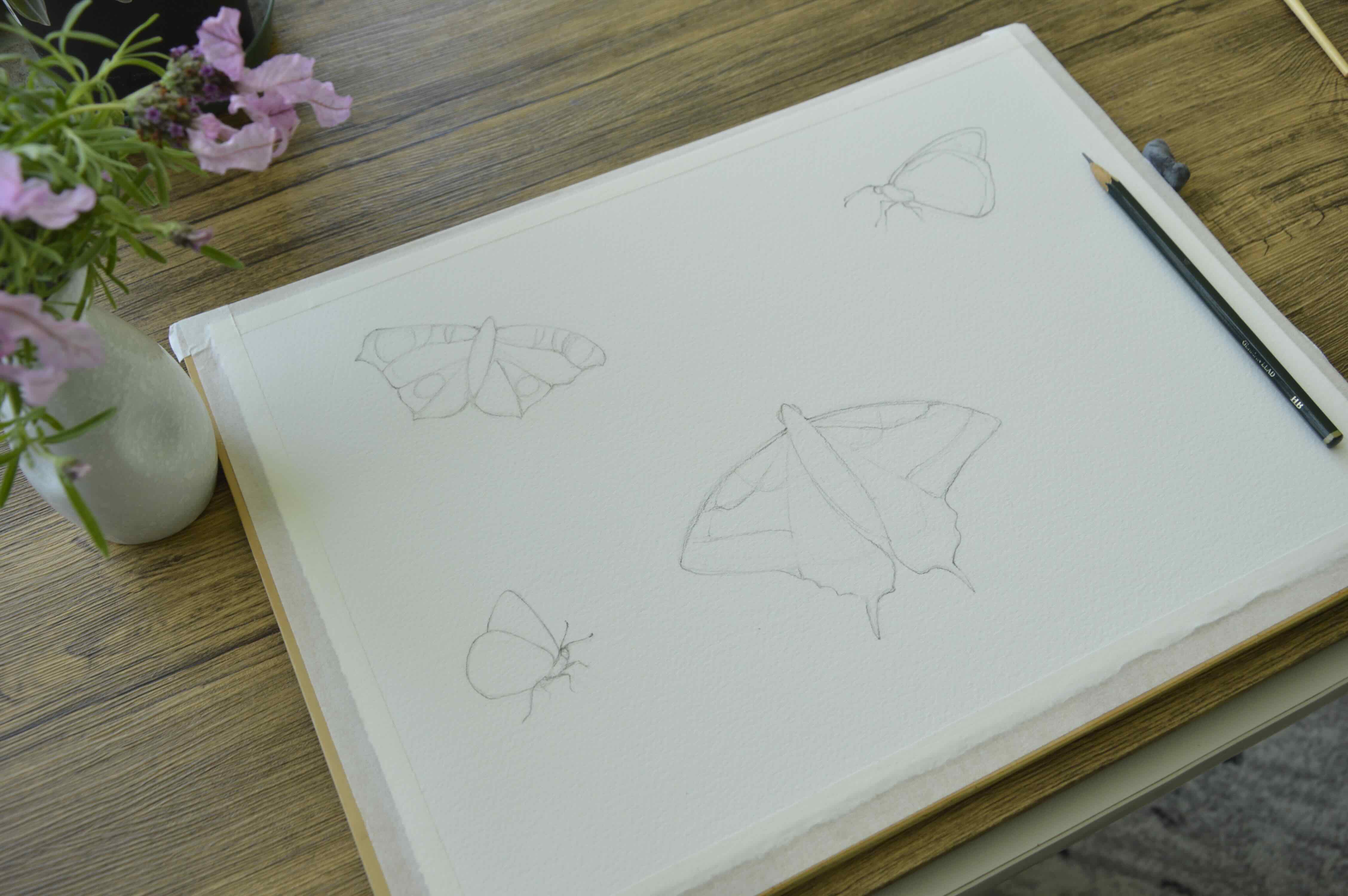 A butterfly sketch in a sketchbook