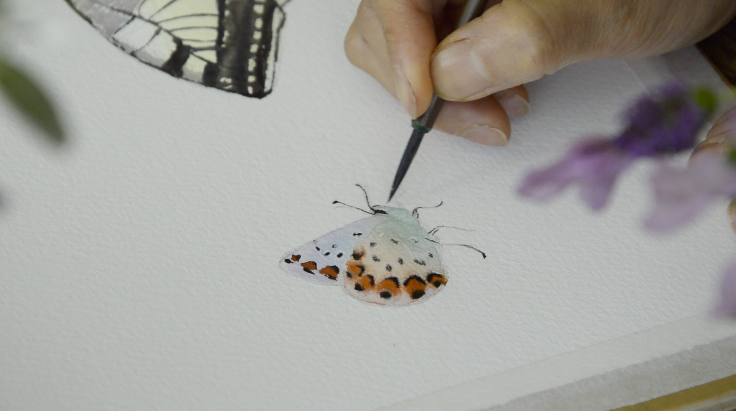 Watercolor painting in progress, with brush and paint