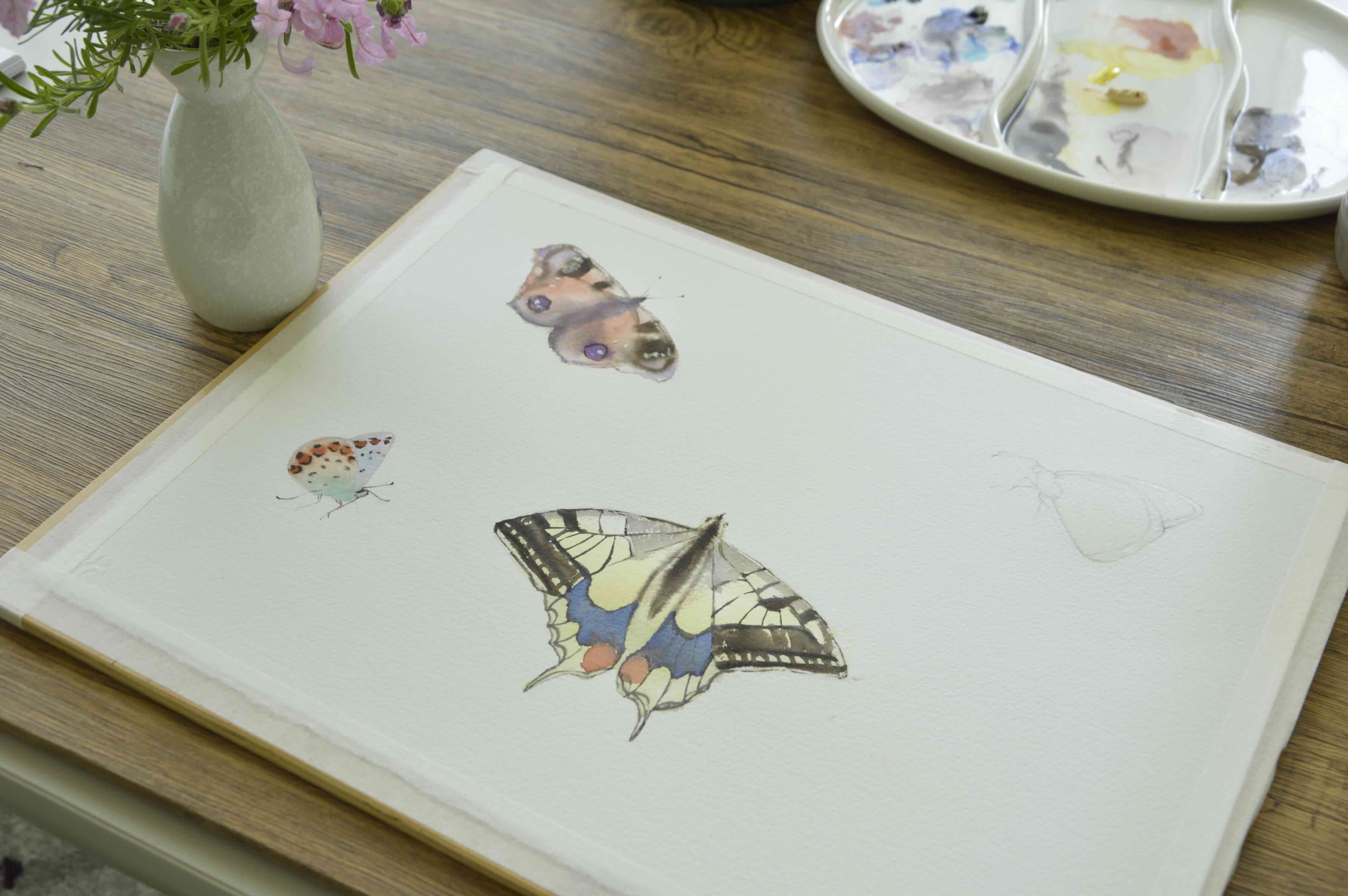 Finished watercolor butterfly painting with colorful, softly blended wings