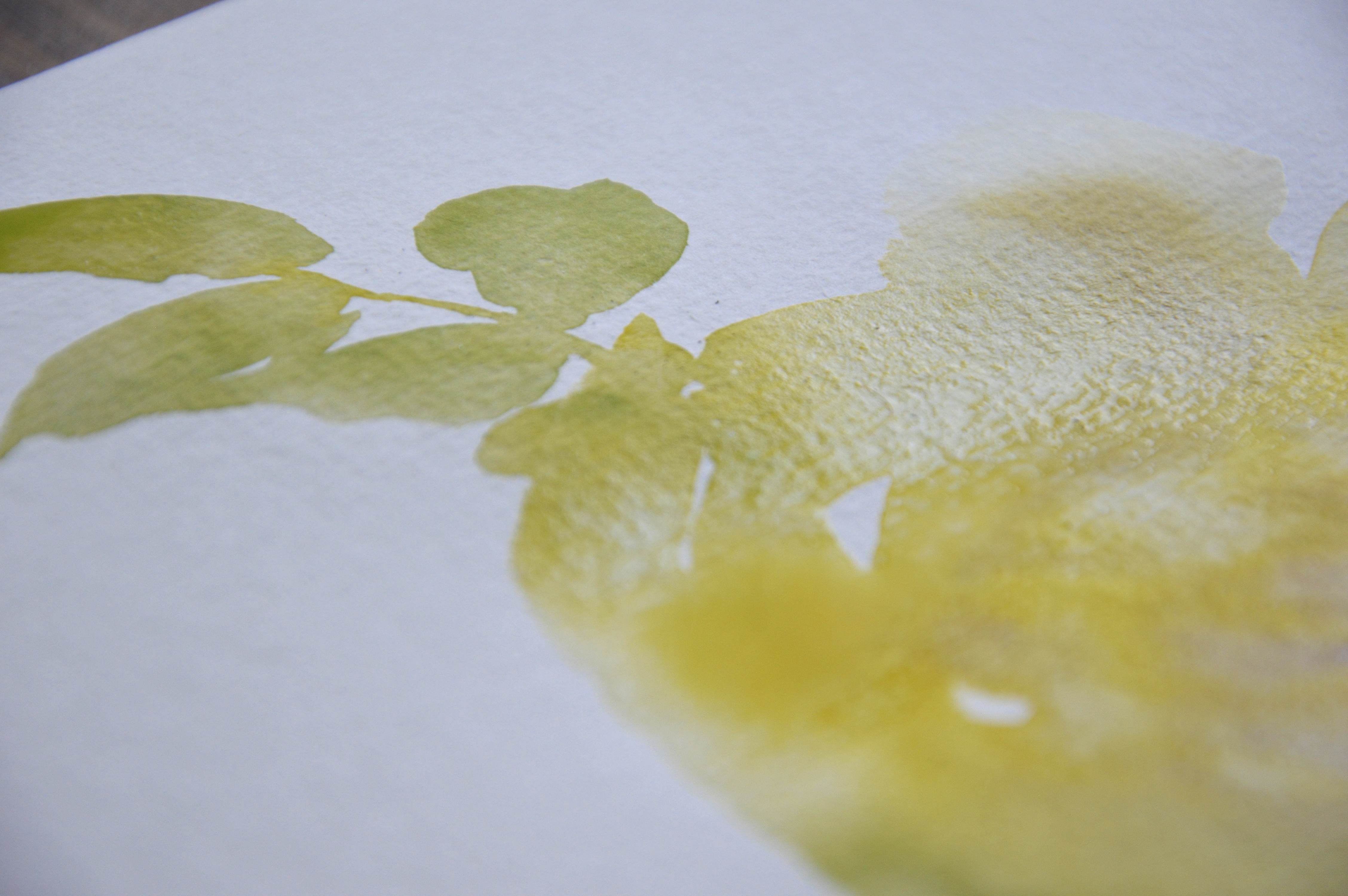 Yellow watercolor rose