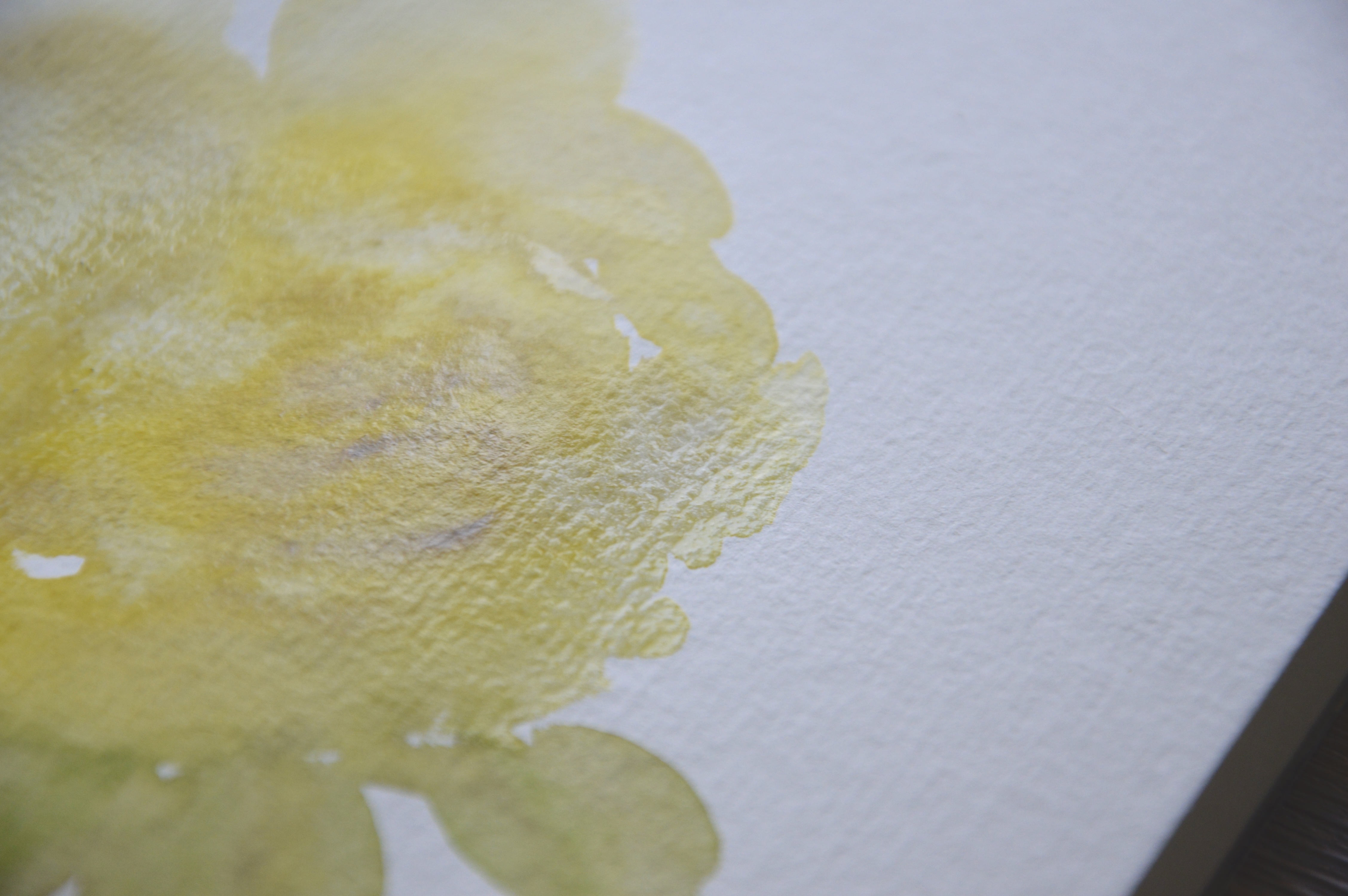 Yellow rose watercolor lesson setup