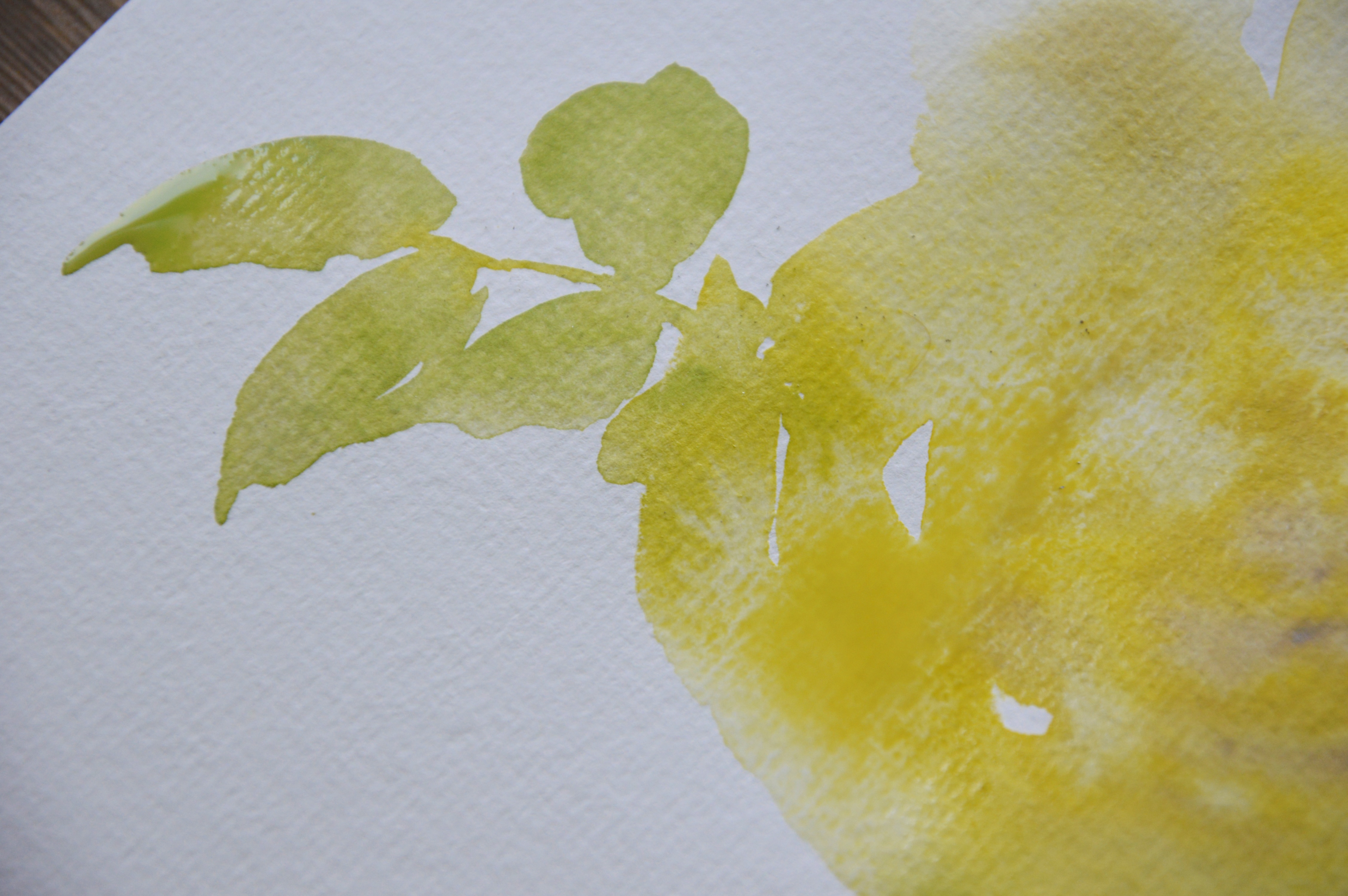 Day 1 One-Color Calm