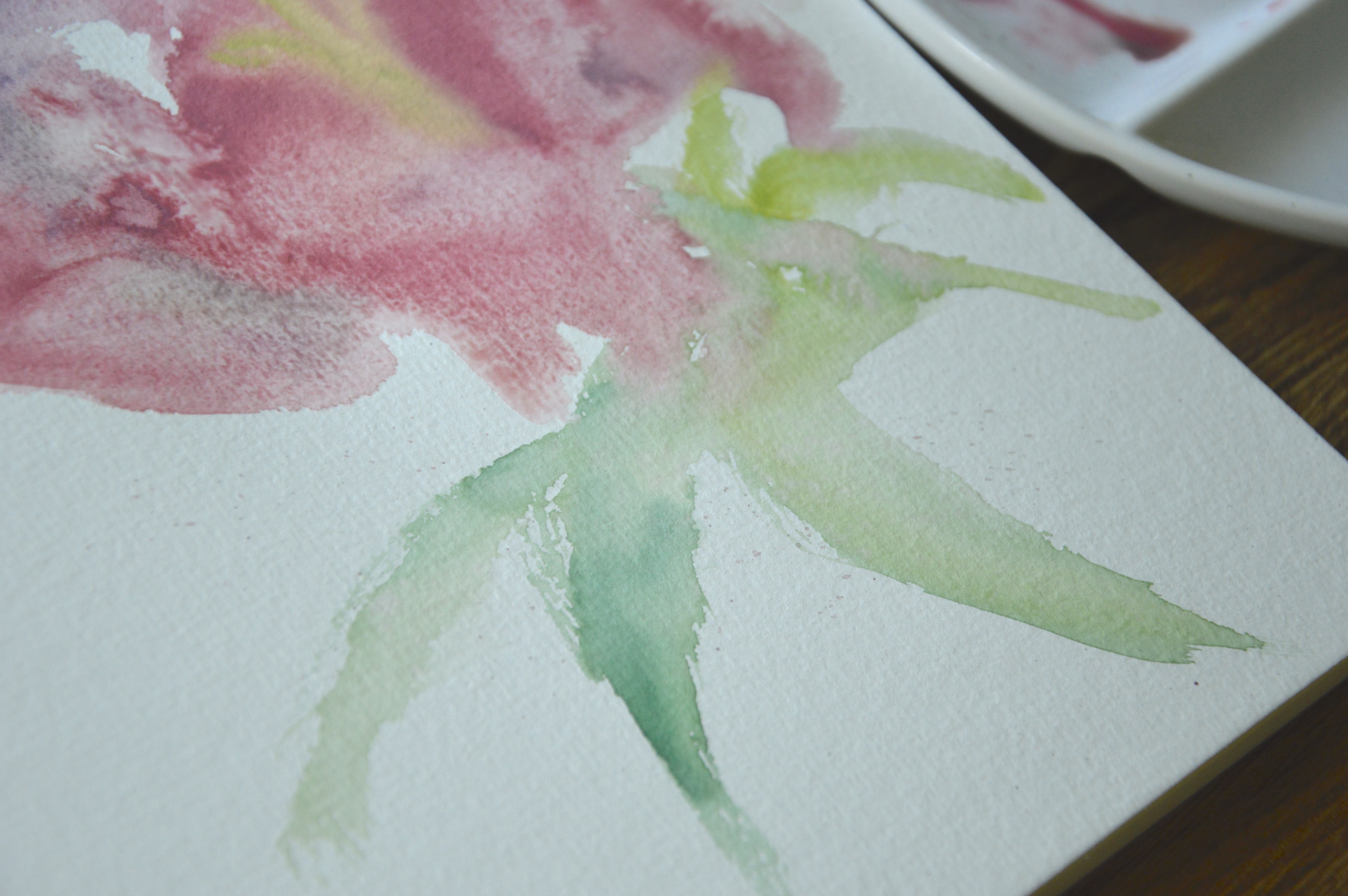 Pink lily watercolor petals