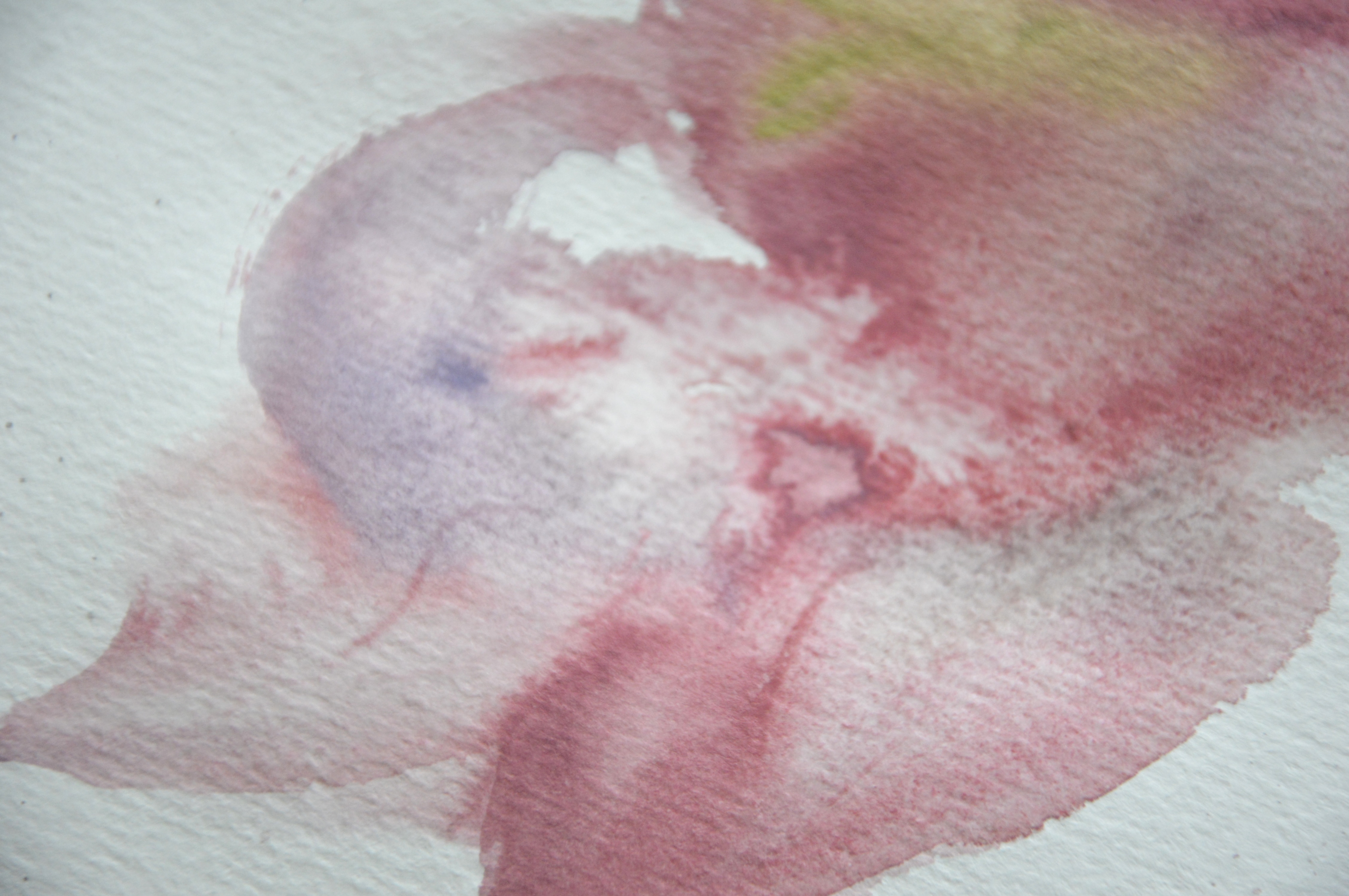 Finished pink lily watercolor