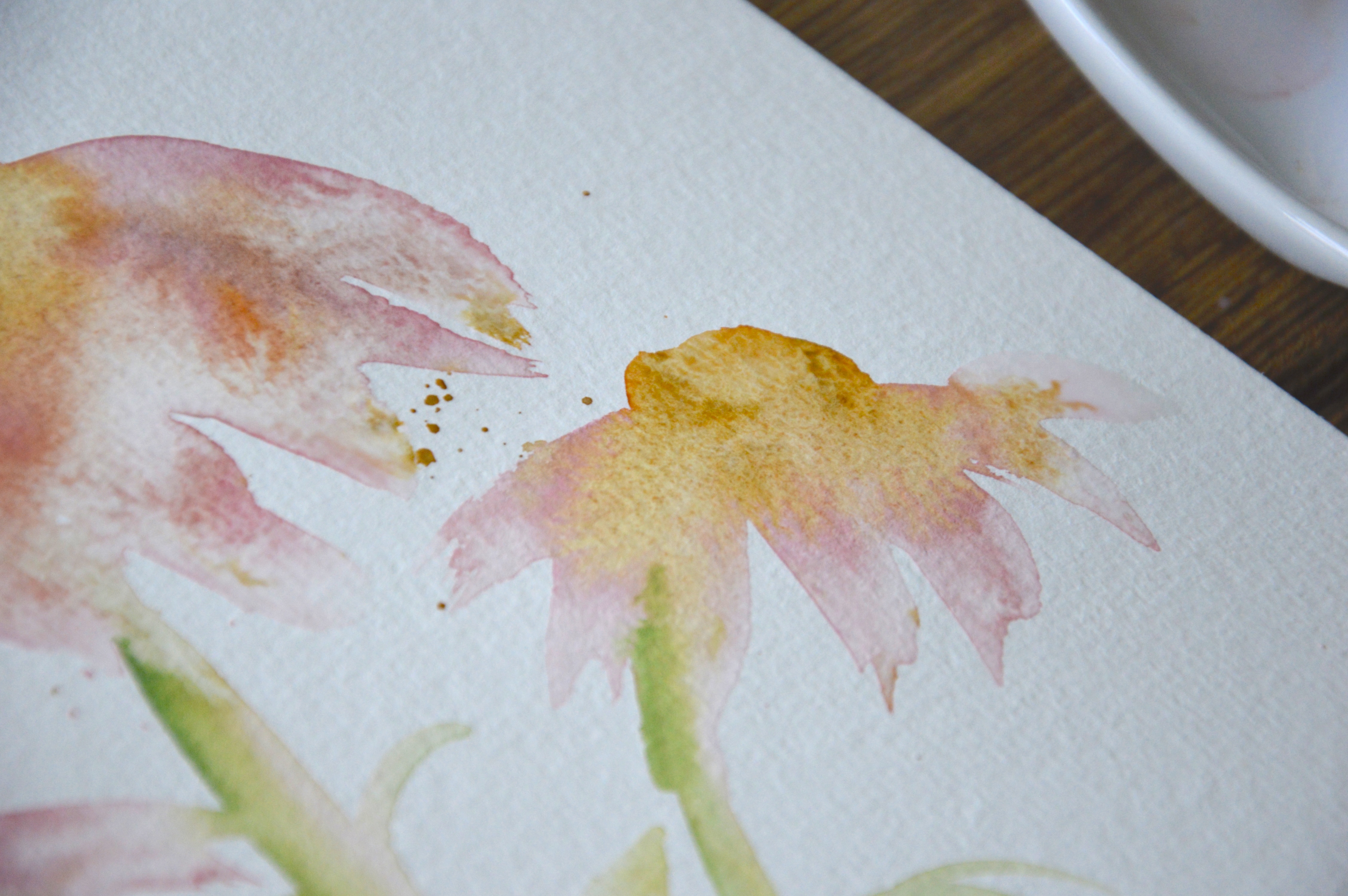 Coneflower watercolor painting close up