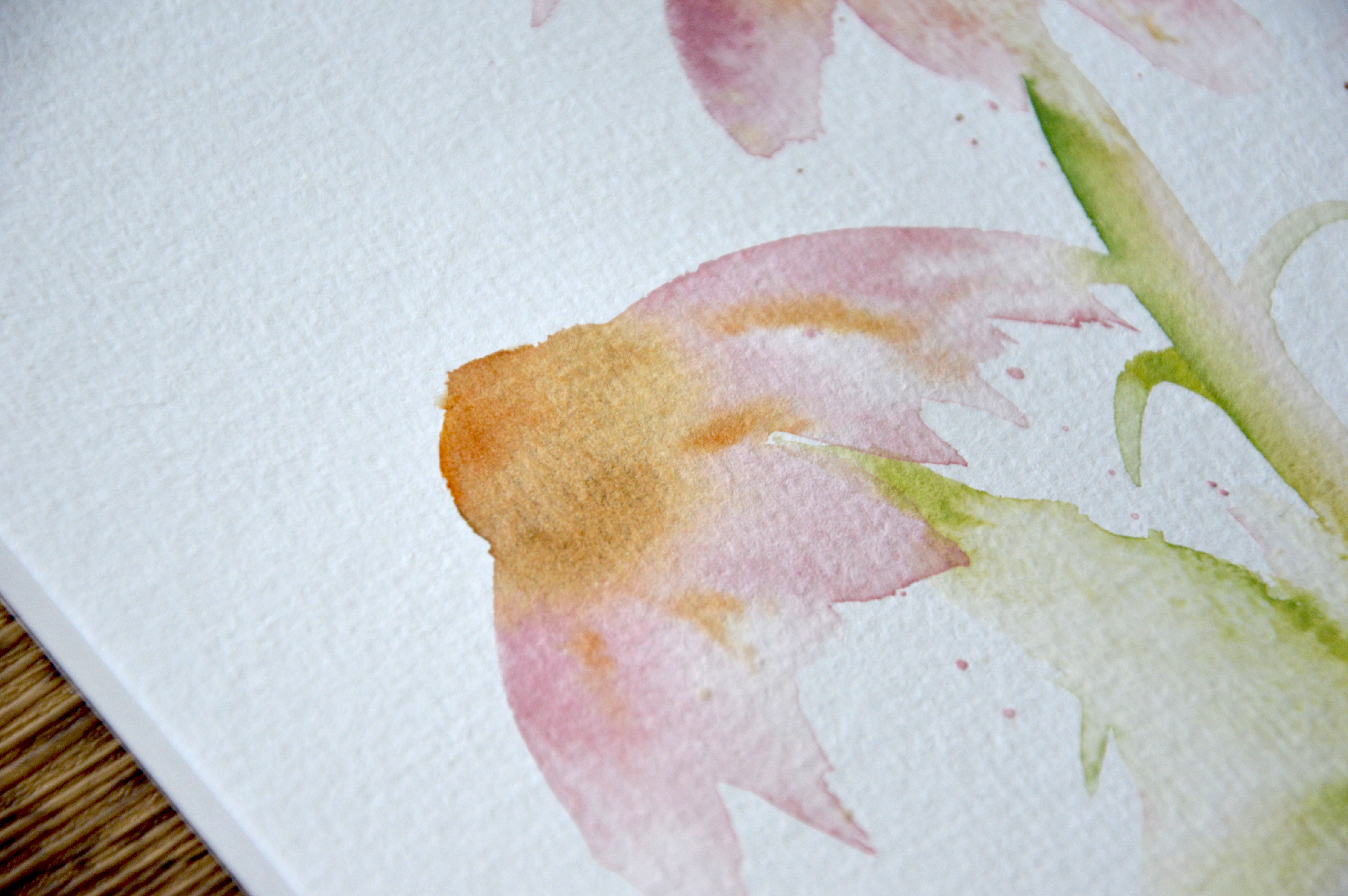 Coneflower watercolor lesson setup