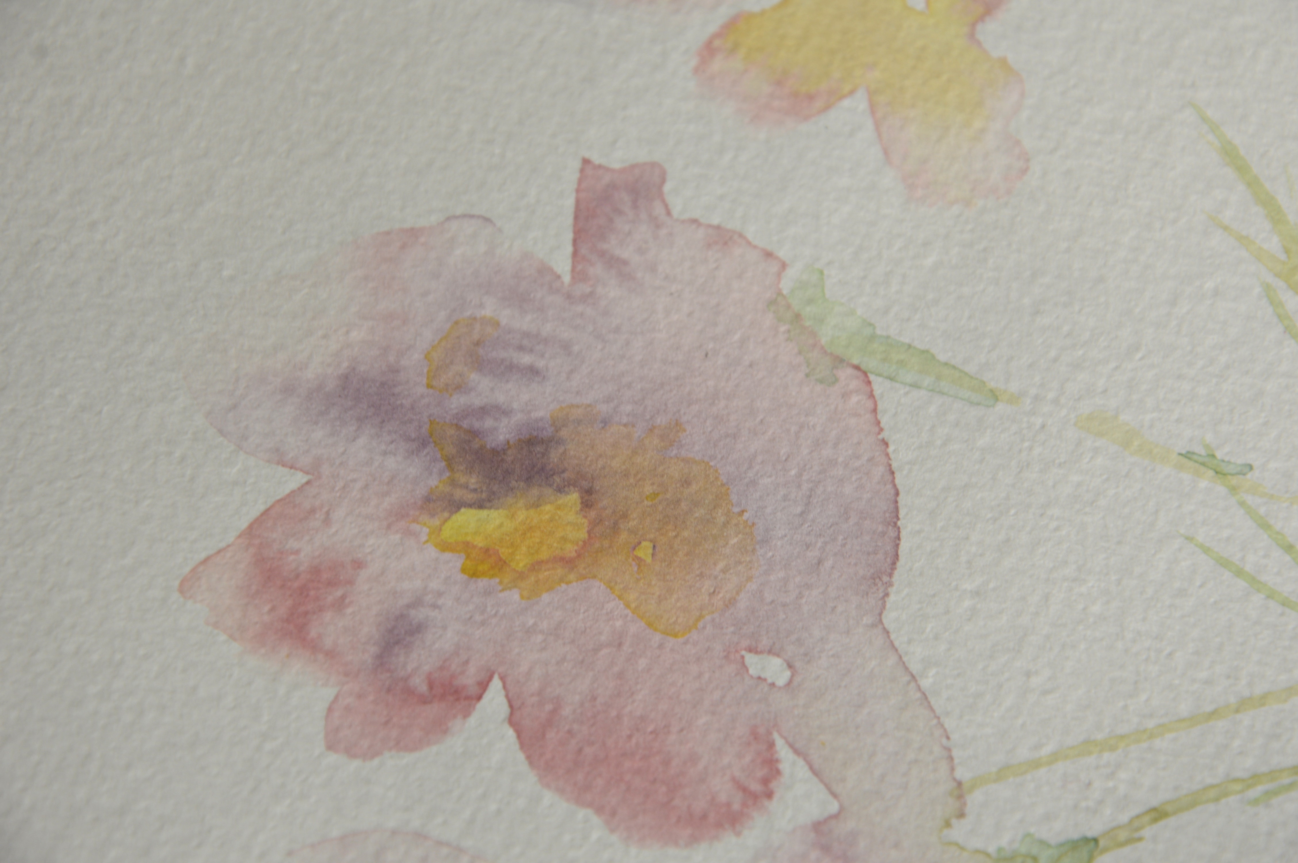 Day 4 Cosmos