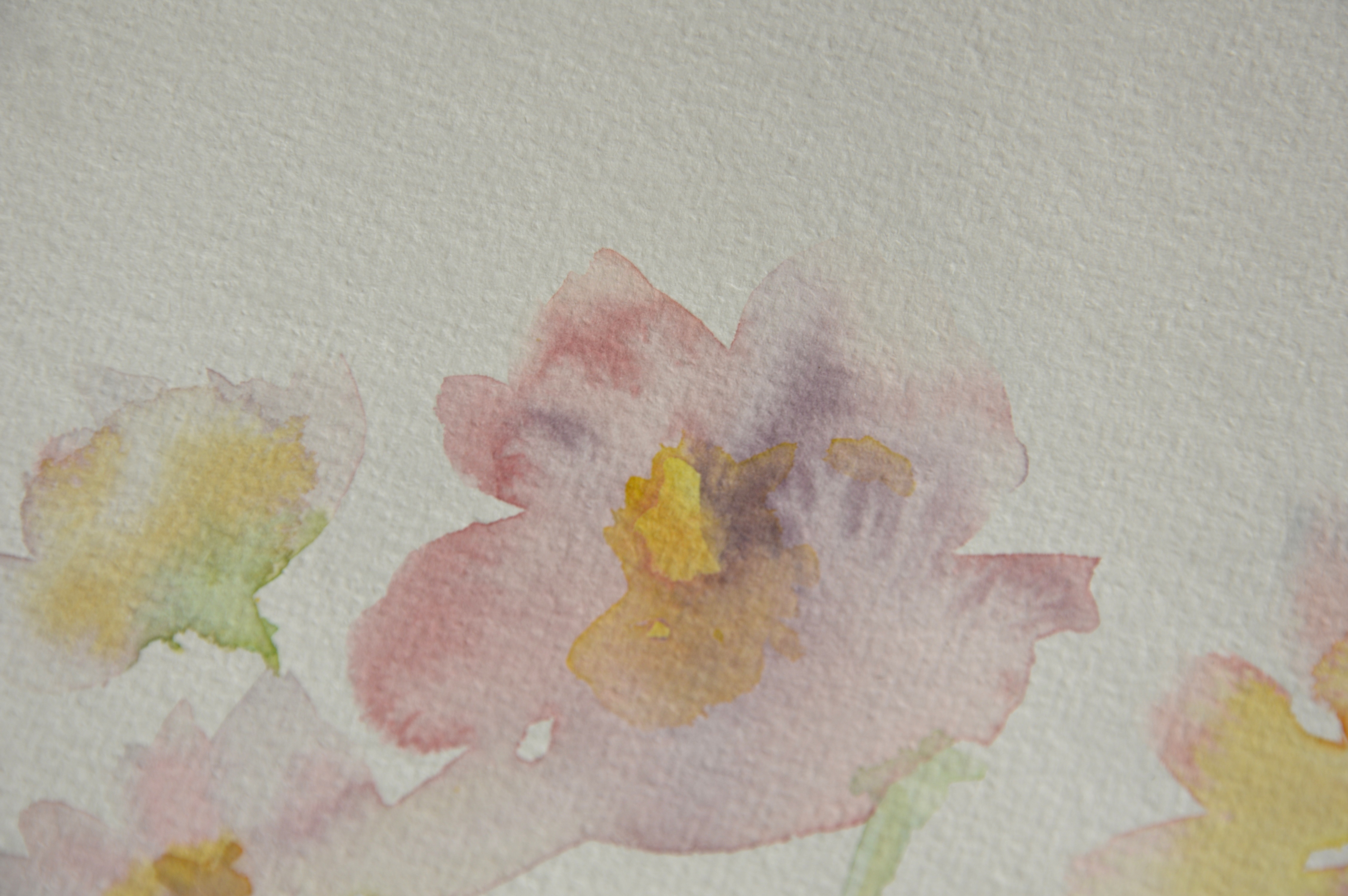 Cosmos watercolor lesson setup