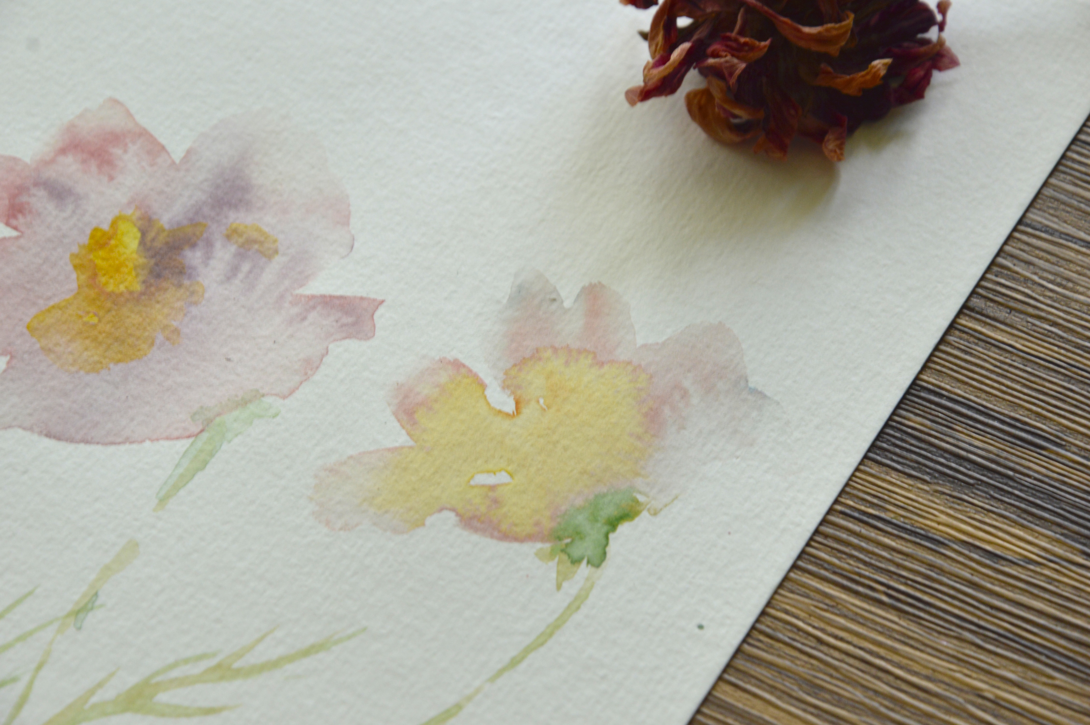 Finished cosmos watercolor