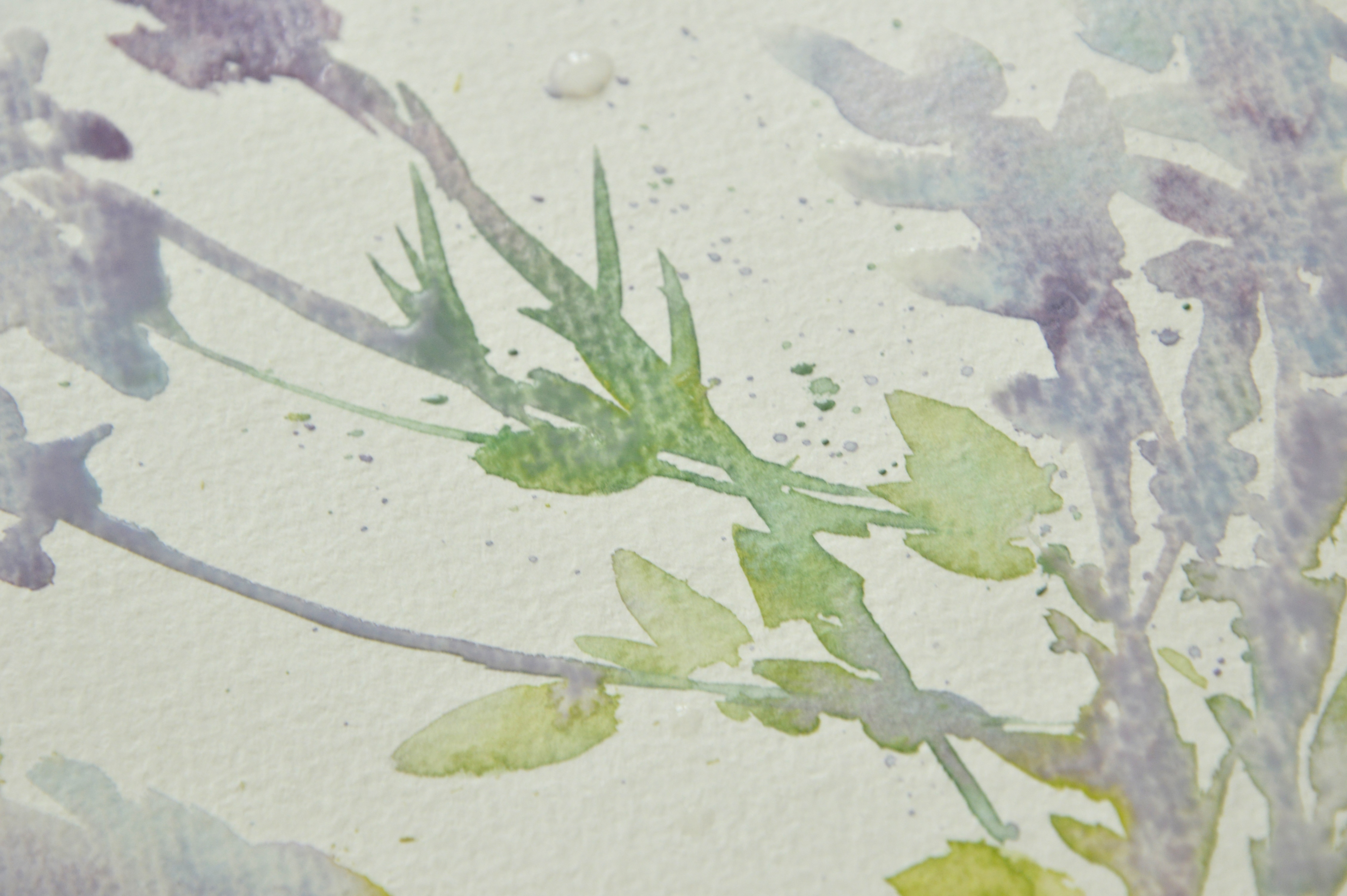 Lavender watercolor painting close up