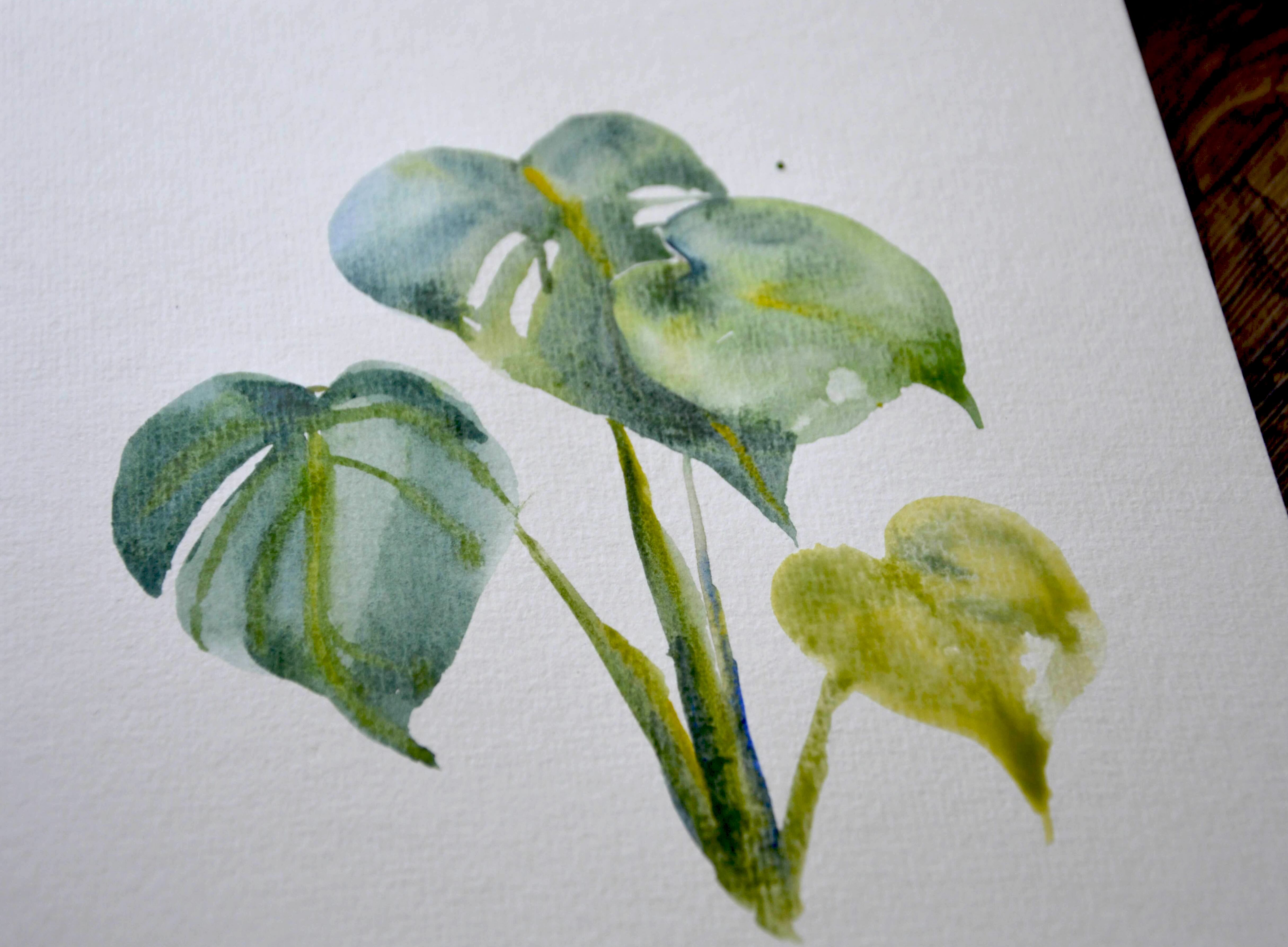 Watercolour leaf from the upcoming five-day leaves series