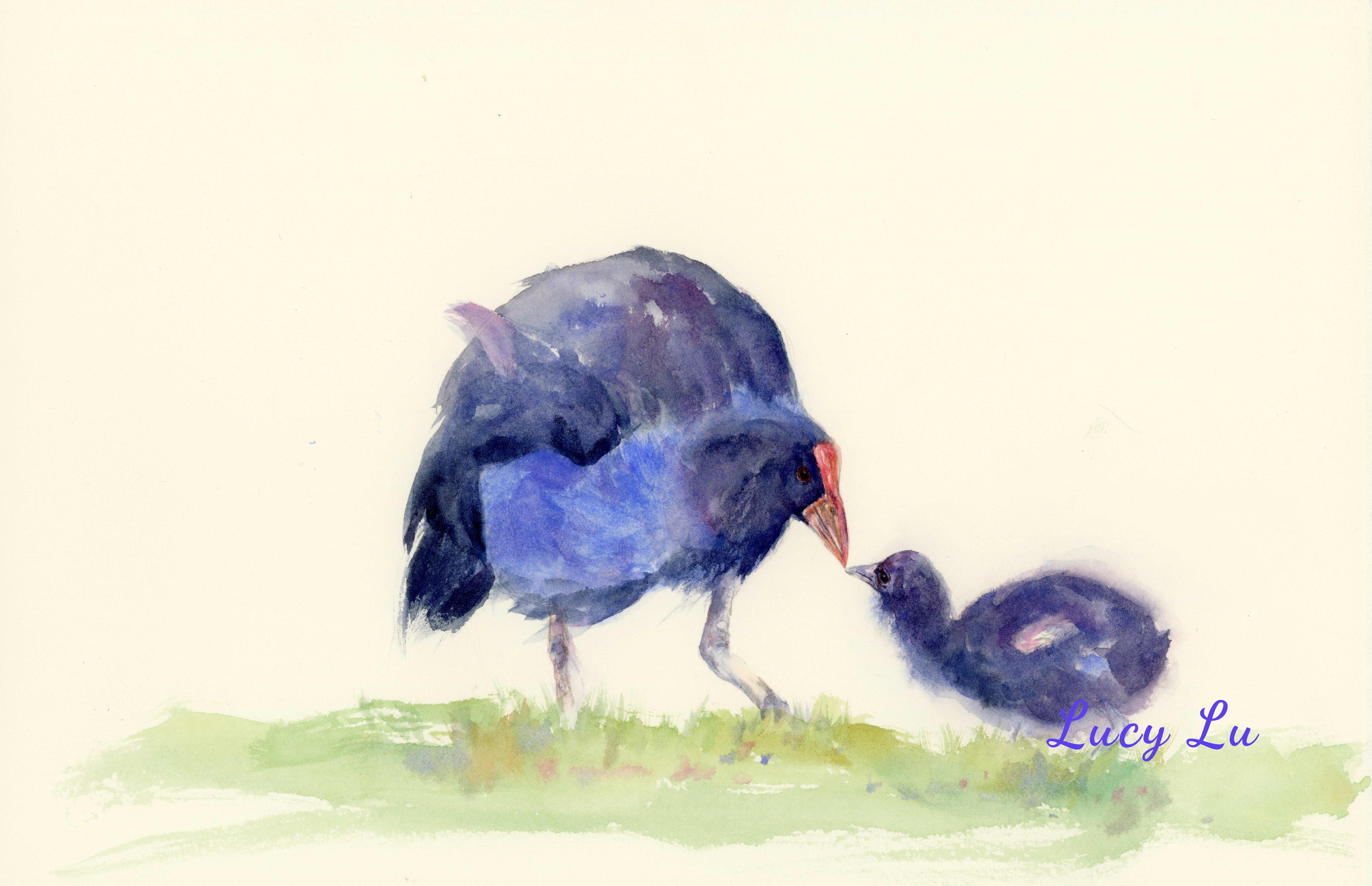 takahē