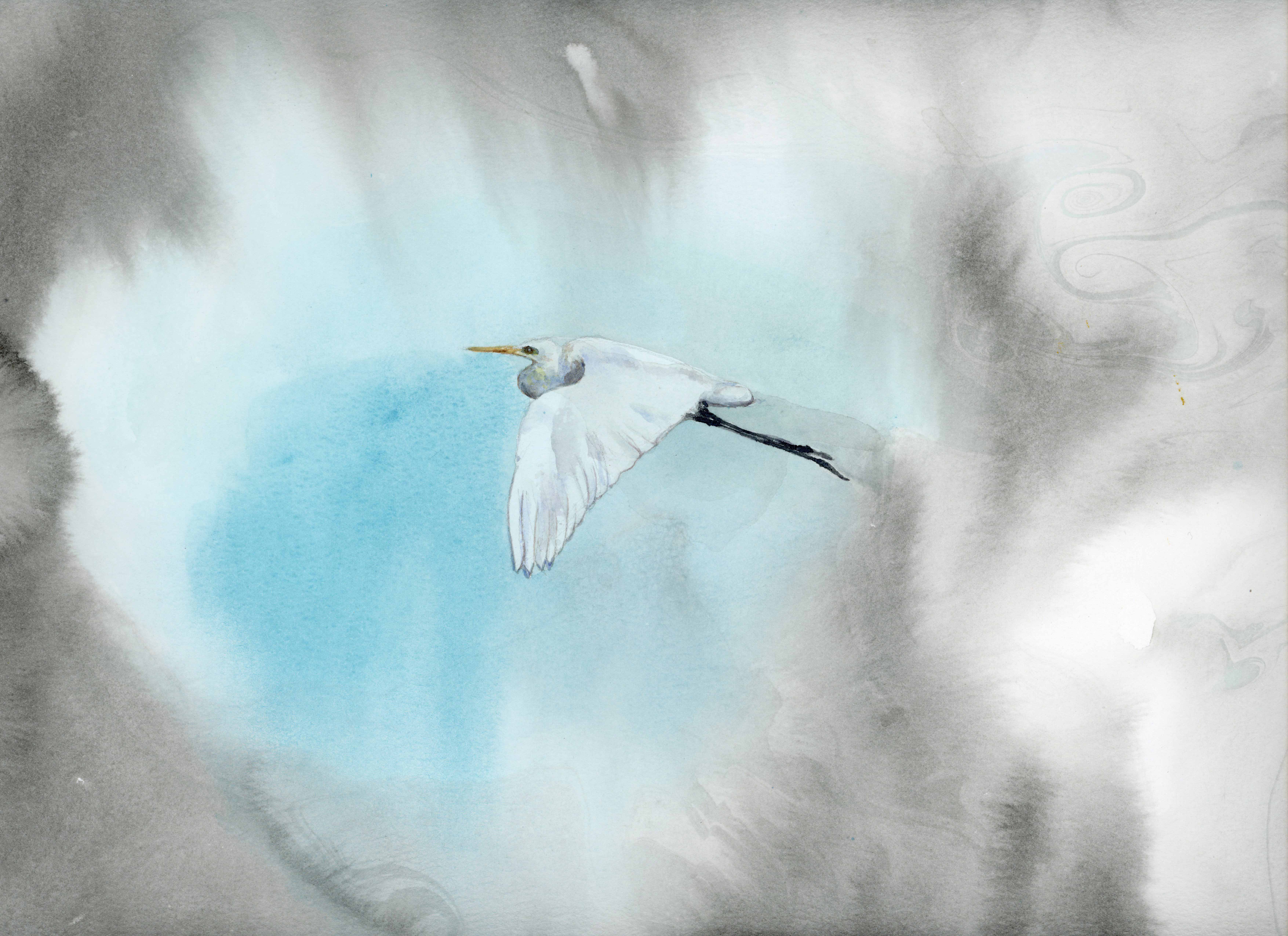 White heron - 2