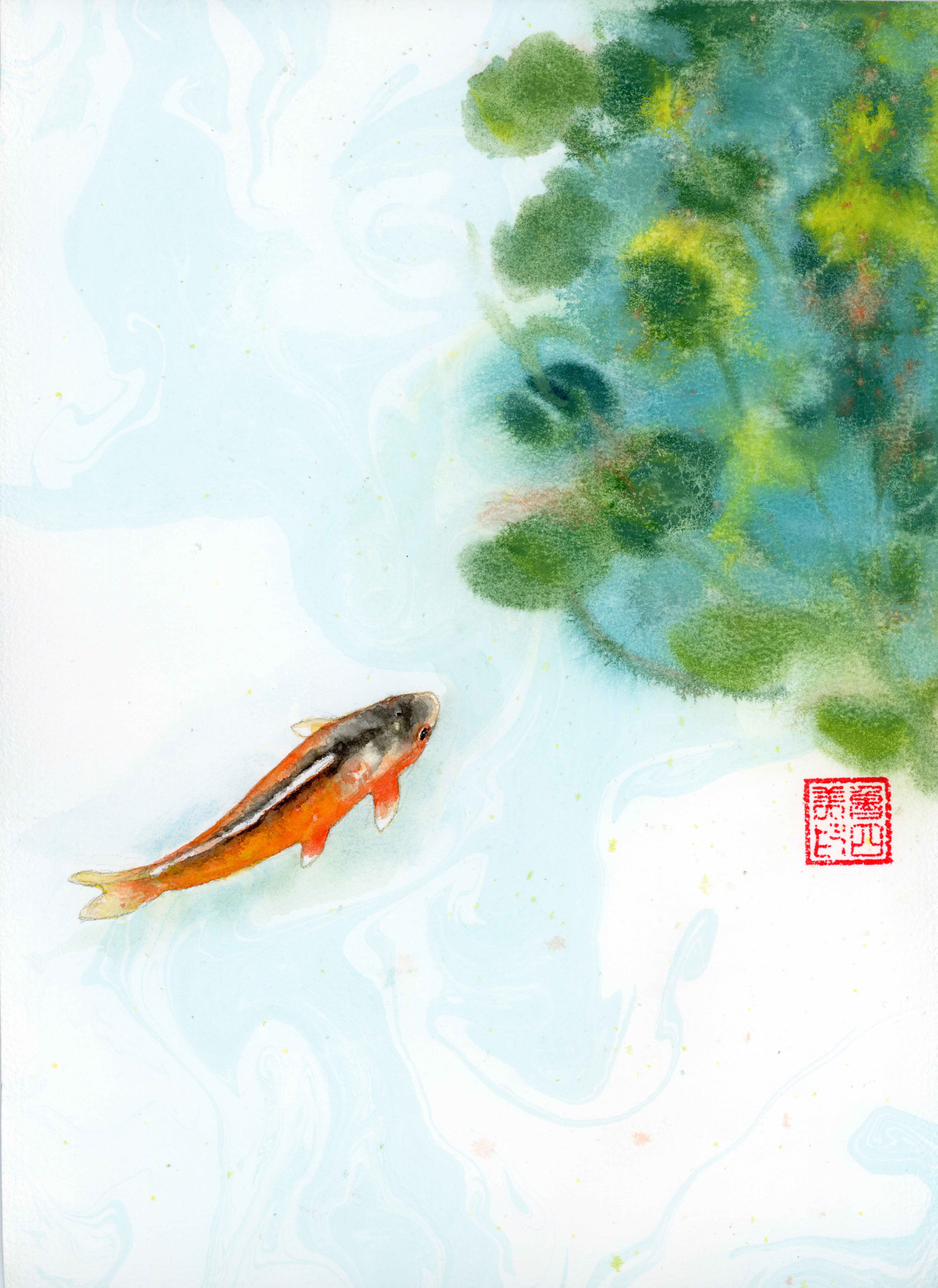 Koi fish - 1