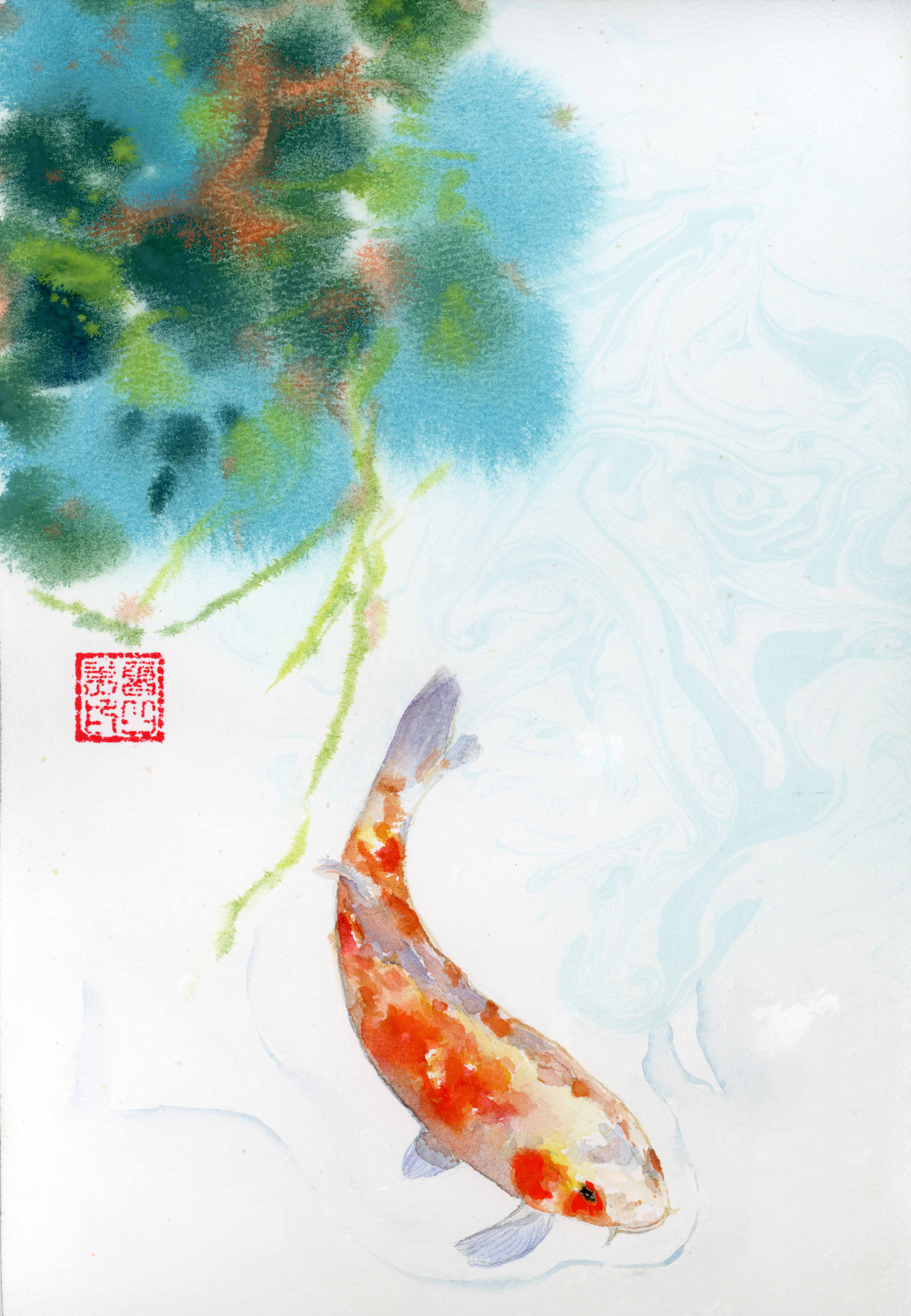 Koi fish - 2