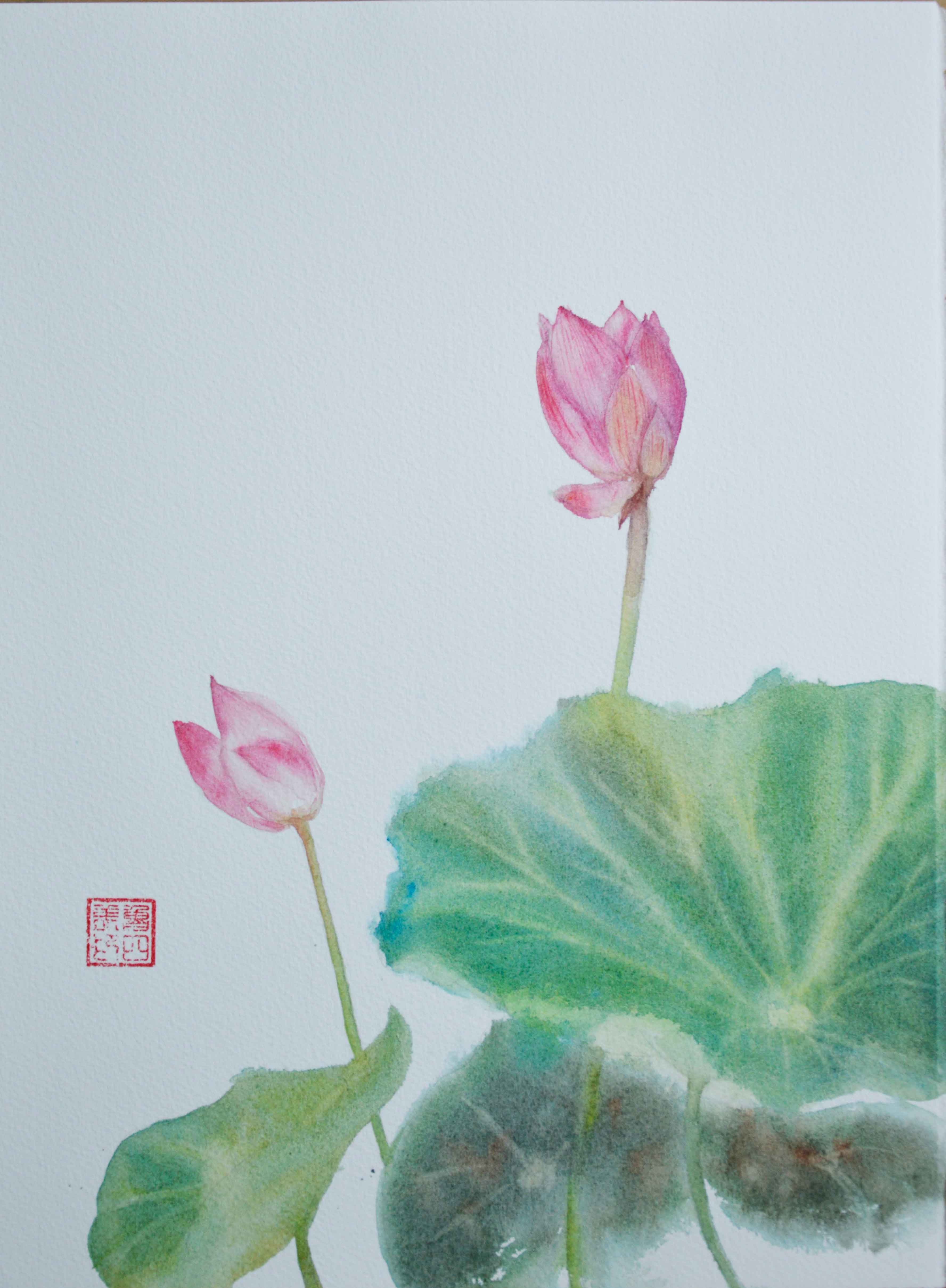Pink lotus buds and green leaves painted in watercolor