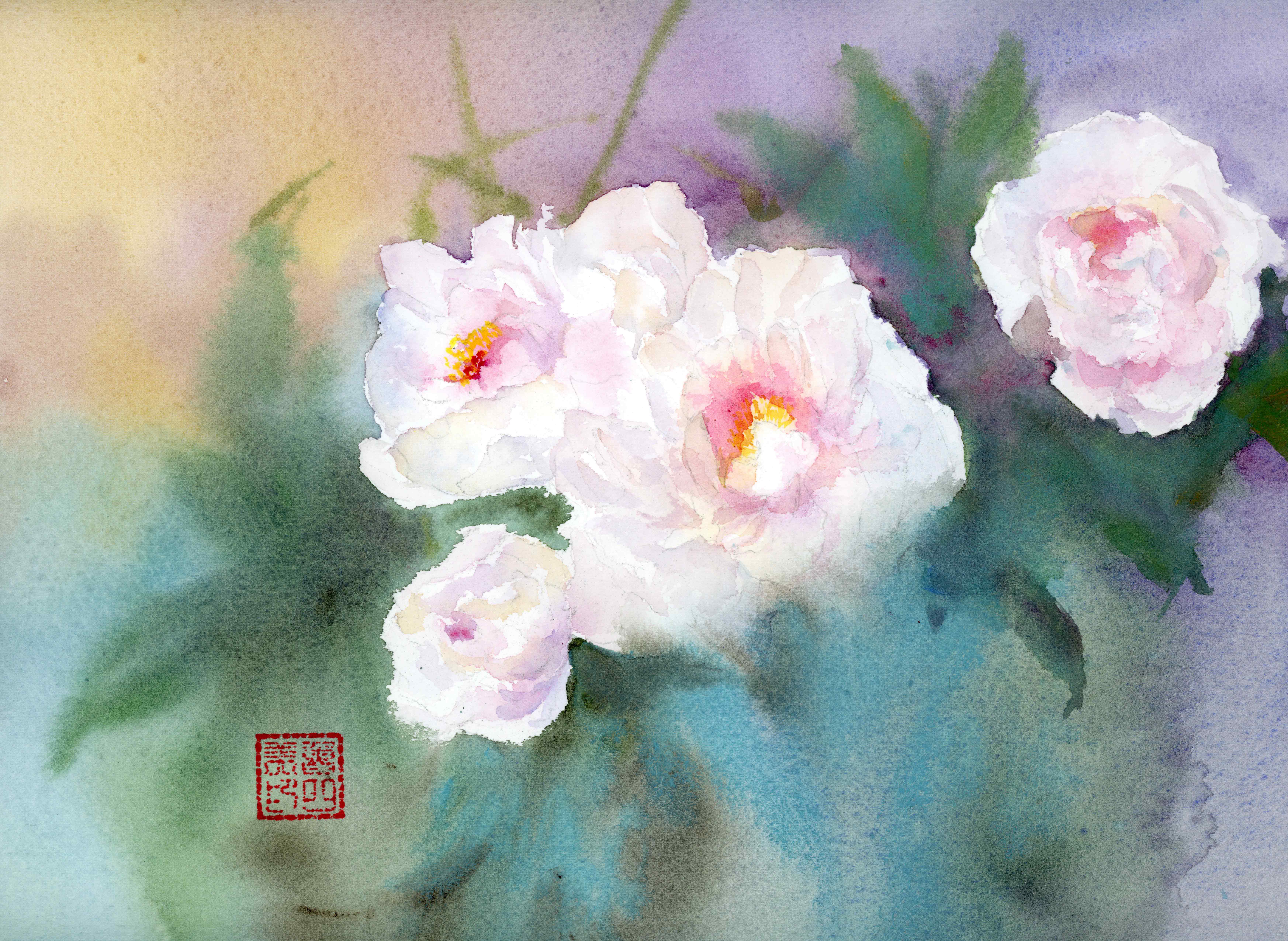 Peony - 1