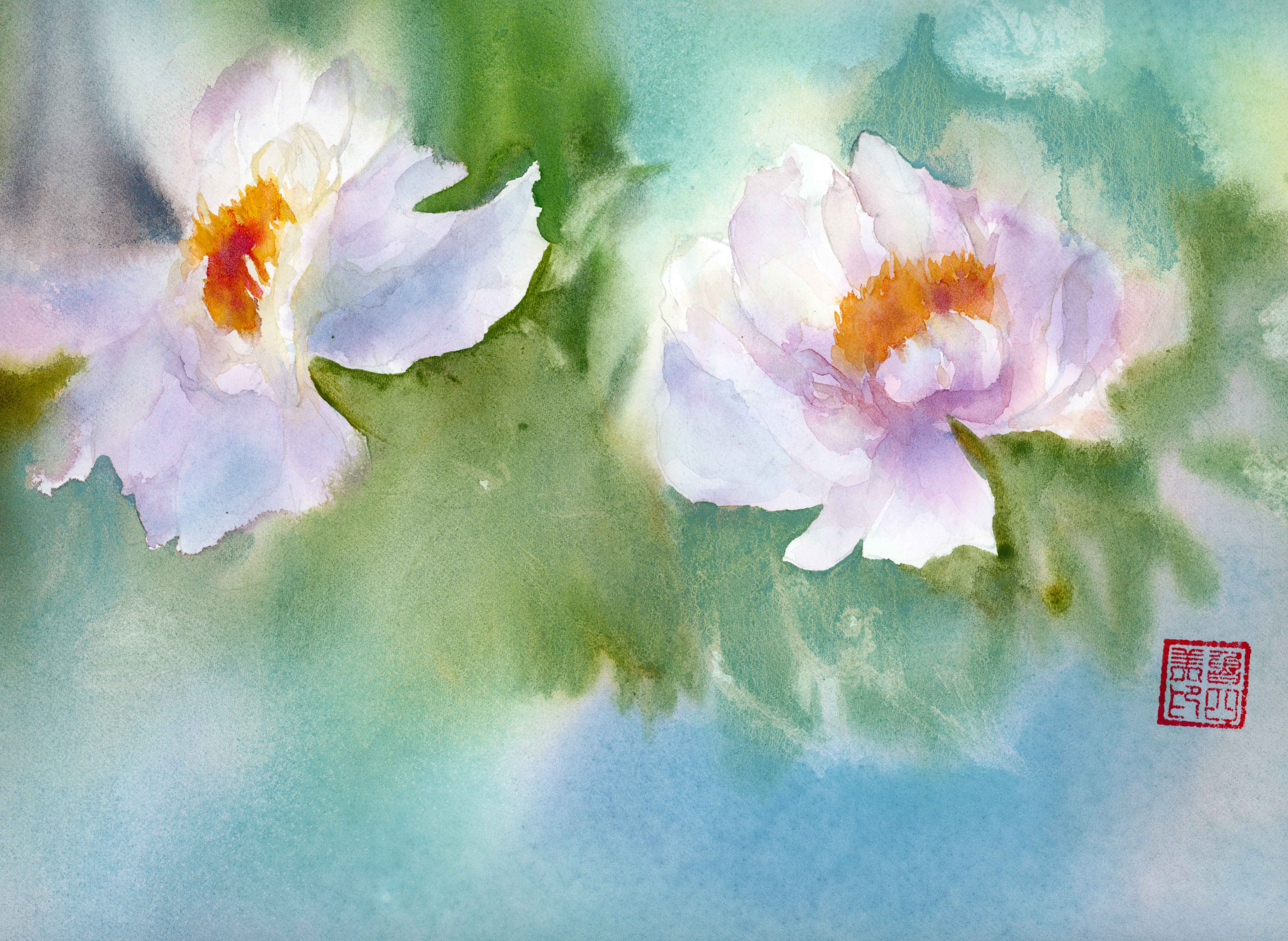 Peony - 2