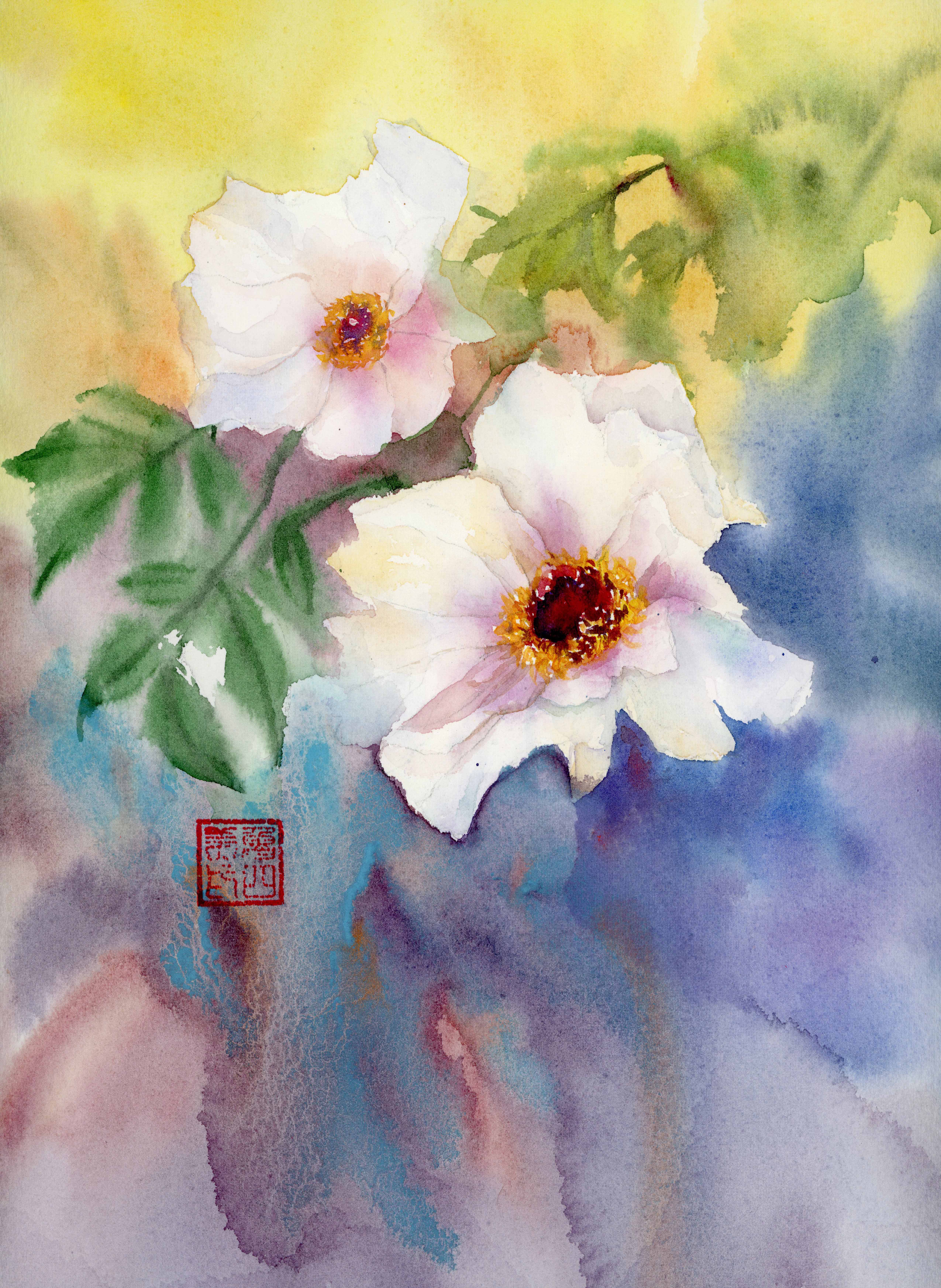 Peony - 3