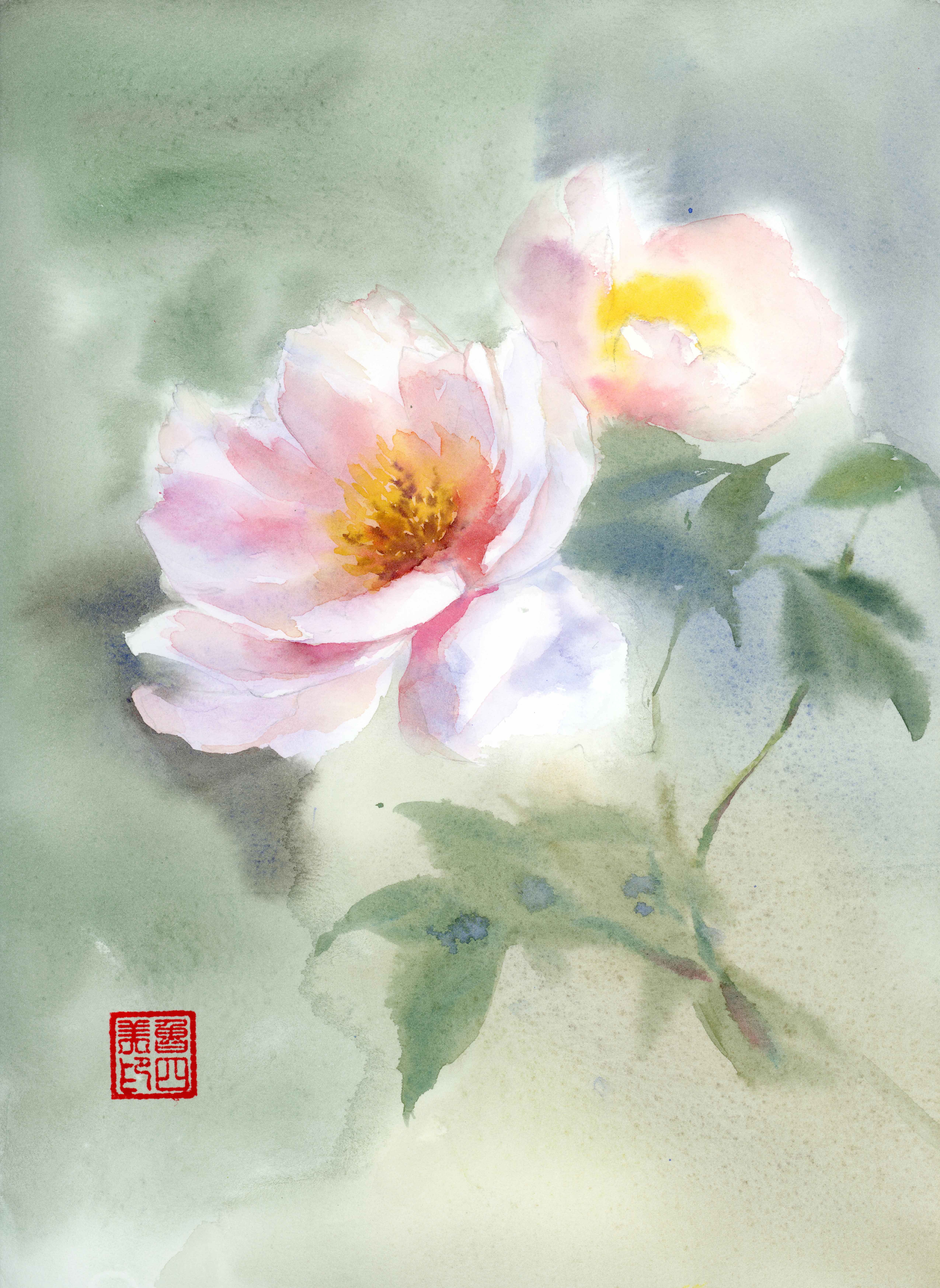 Peony - 4